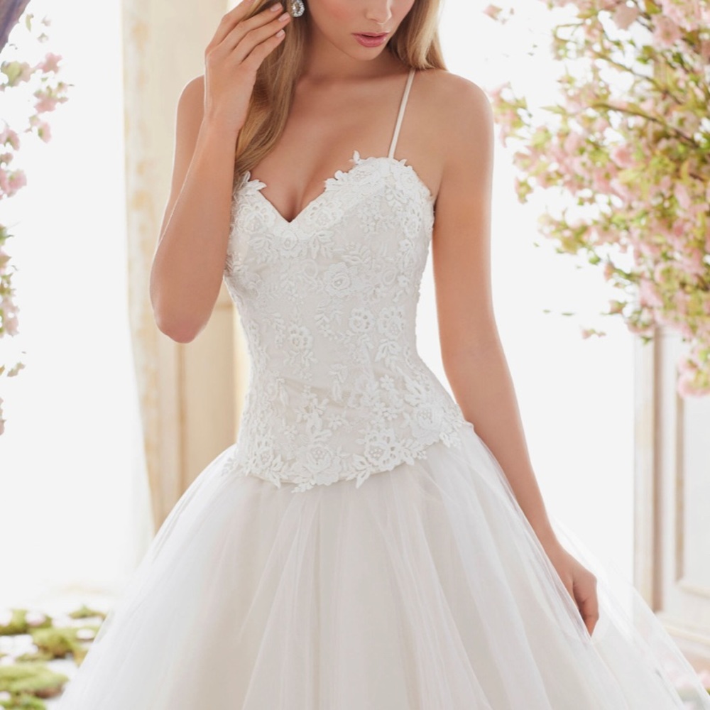 Ivory Venice Appliqués over Chantilly Lace Bodice style #6840